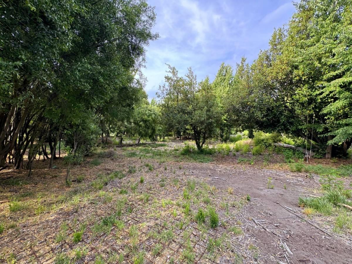 Foto de VENTA TERRENO SAN MARTIN DE LOS ANDES . LOS RISCOS, imagen 2