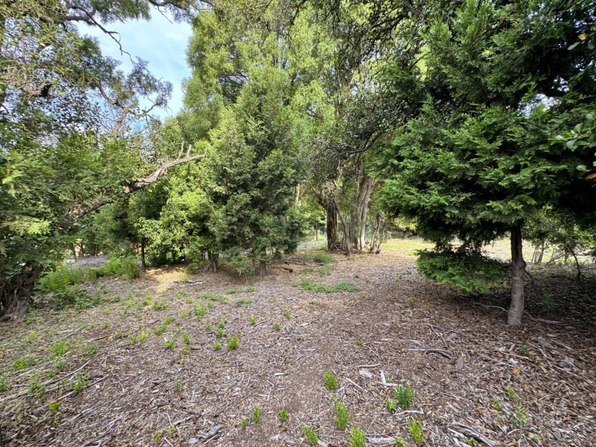 Foto de VENTA TERRENO SAN MARTIN DE LOS ANDES . LOS RISCOS, imagen 4