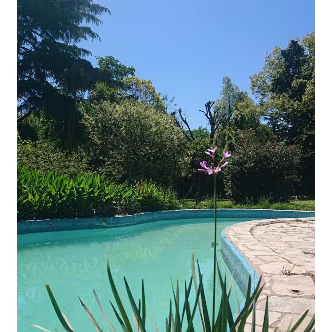 Foto de Casa con amplio parque arbolado y pileta, imagen 4