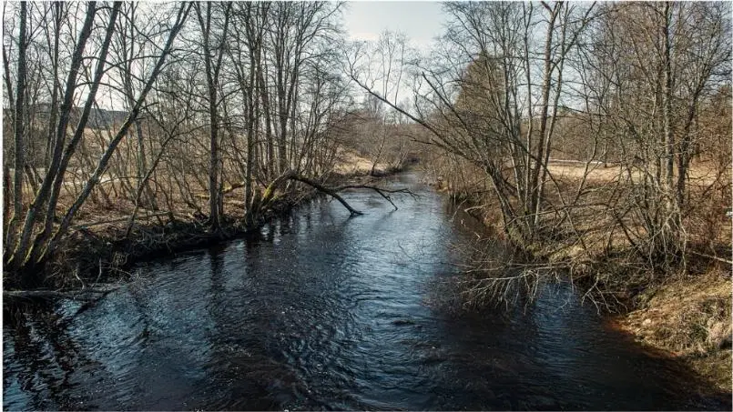 Terreno en La Reserva, Plottier 1