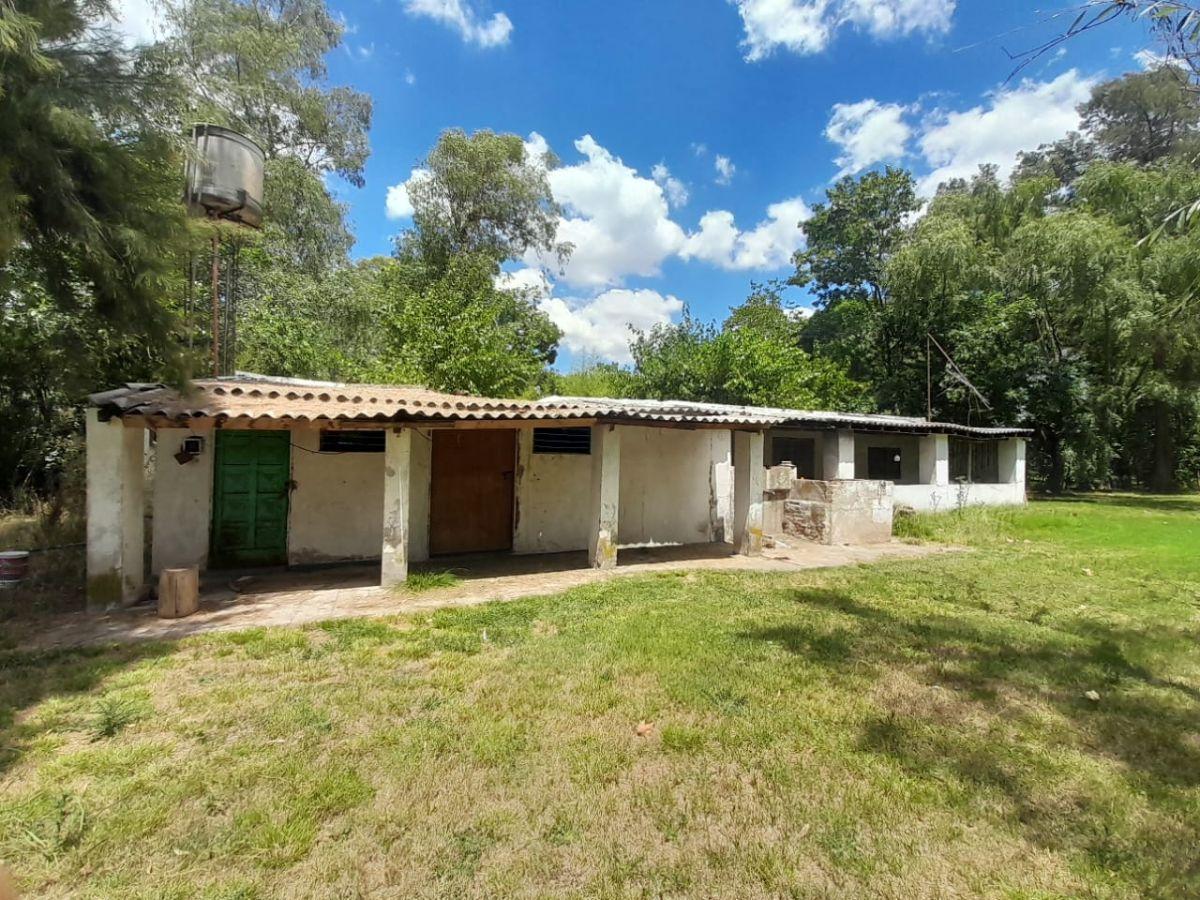 Foto de VENTA CAMPO GENERAL RODRIGUEZ, imagen 5