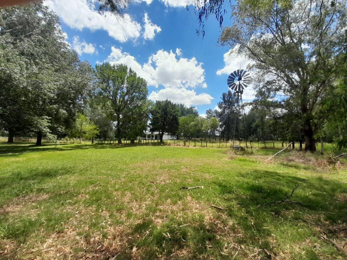 Foto de VENTA CAMPO GENERAL RODRIGUEZ, imagen 2