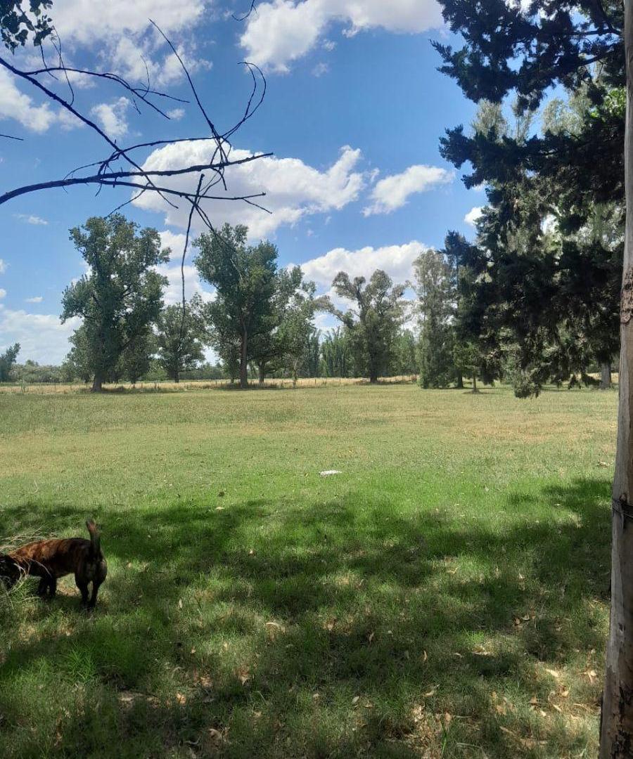 Foto de VENTA CAMPO GENERAL RODRIGUEZ, imagen 1