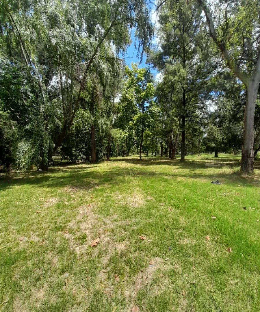 Foto de VENTA CAMPO GENERAL RODRIGUEZ, imagen 4