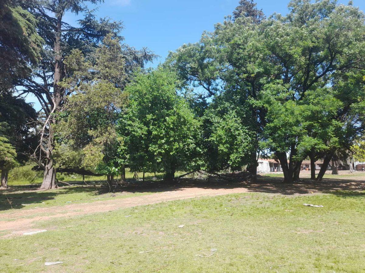Foto de Venta Lote En Moreno, imagen 1
