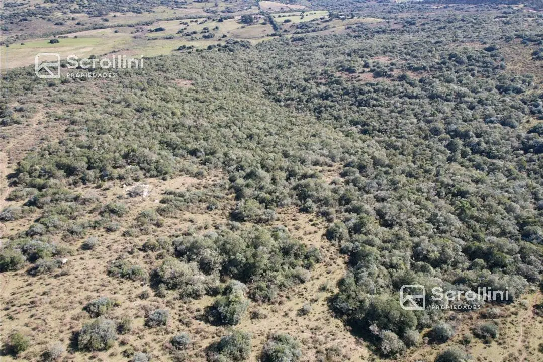 Chacra en Aiguá 4