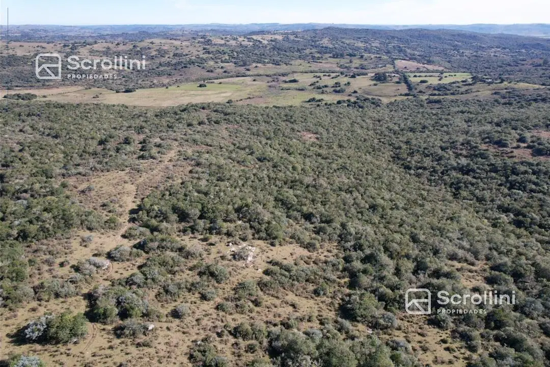 Chacra en Aiguá 1