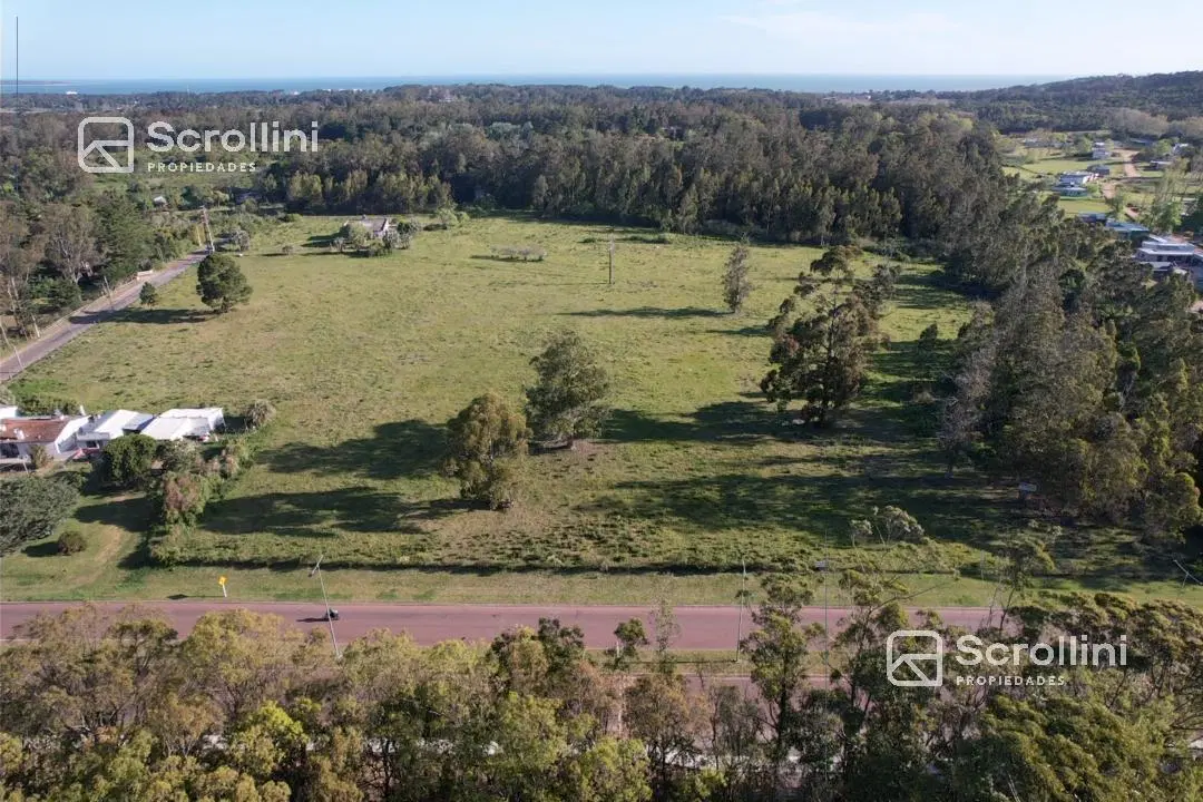 Terreno en venta 1