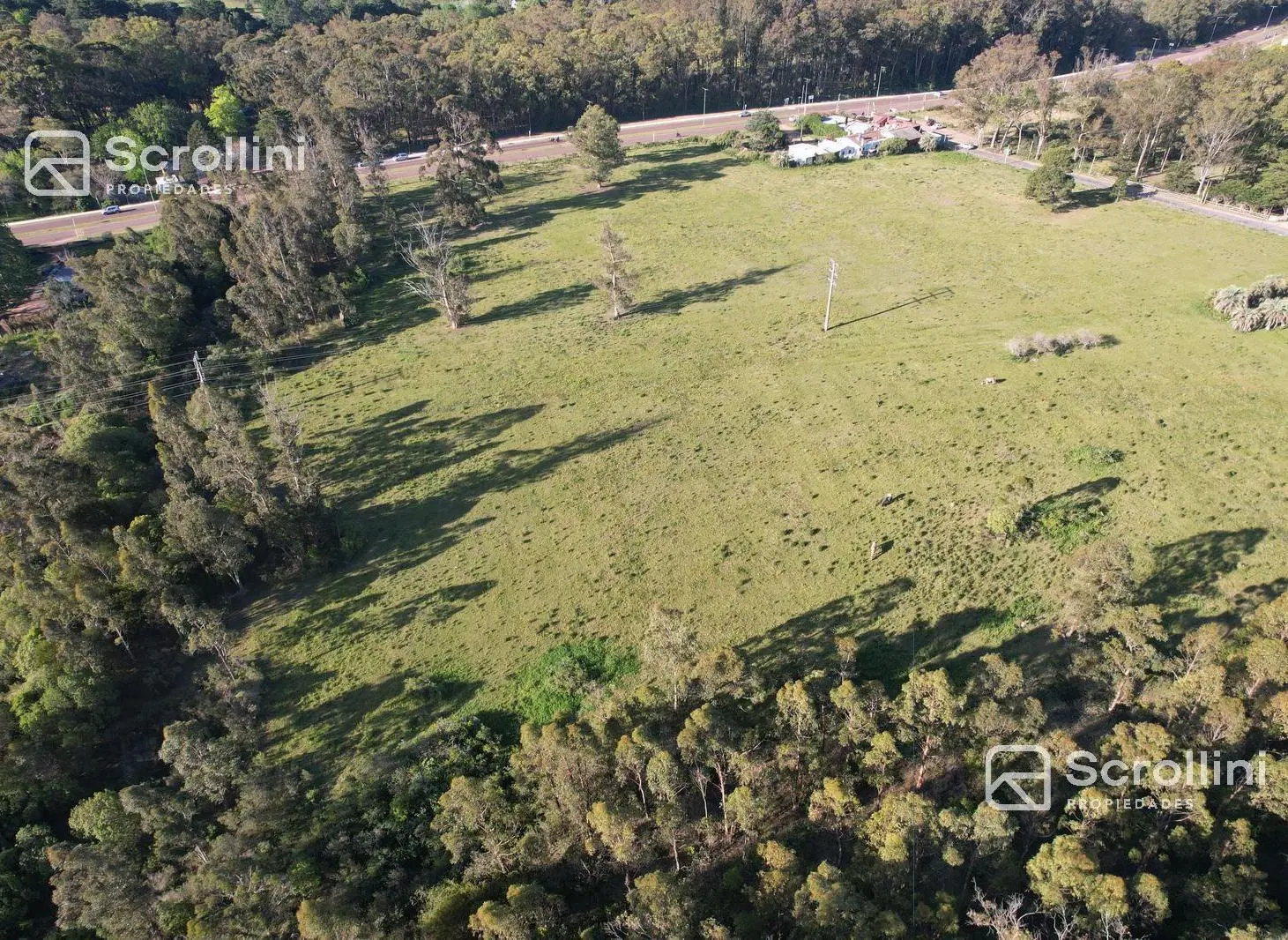 Terreno en venta 5