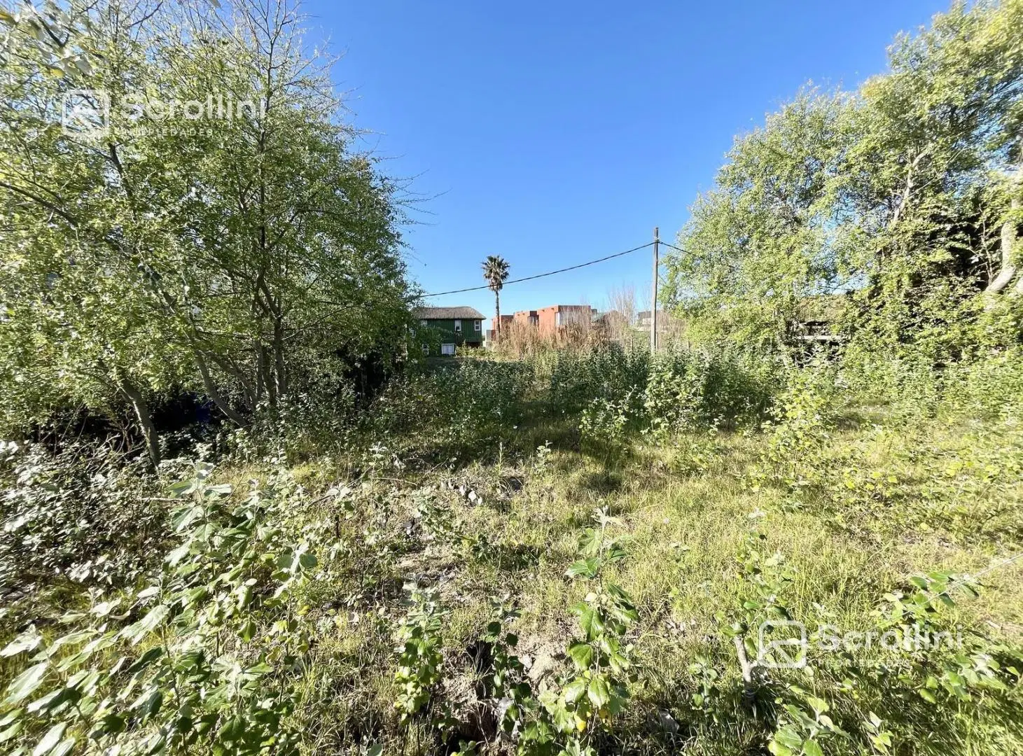Terreno en Punta Piedras 4