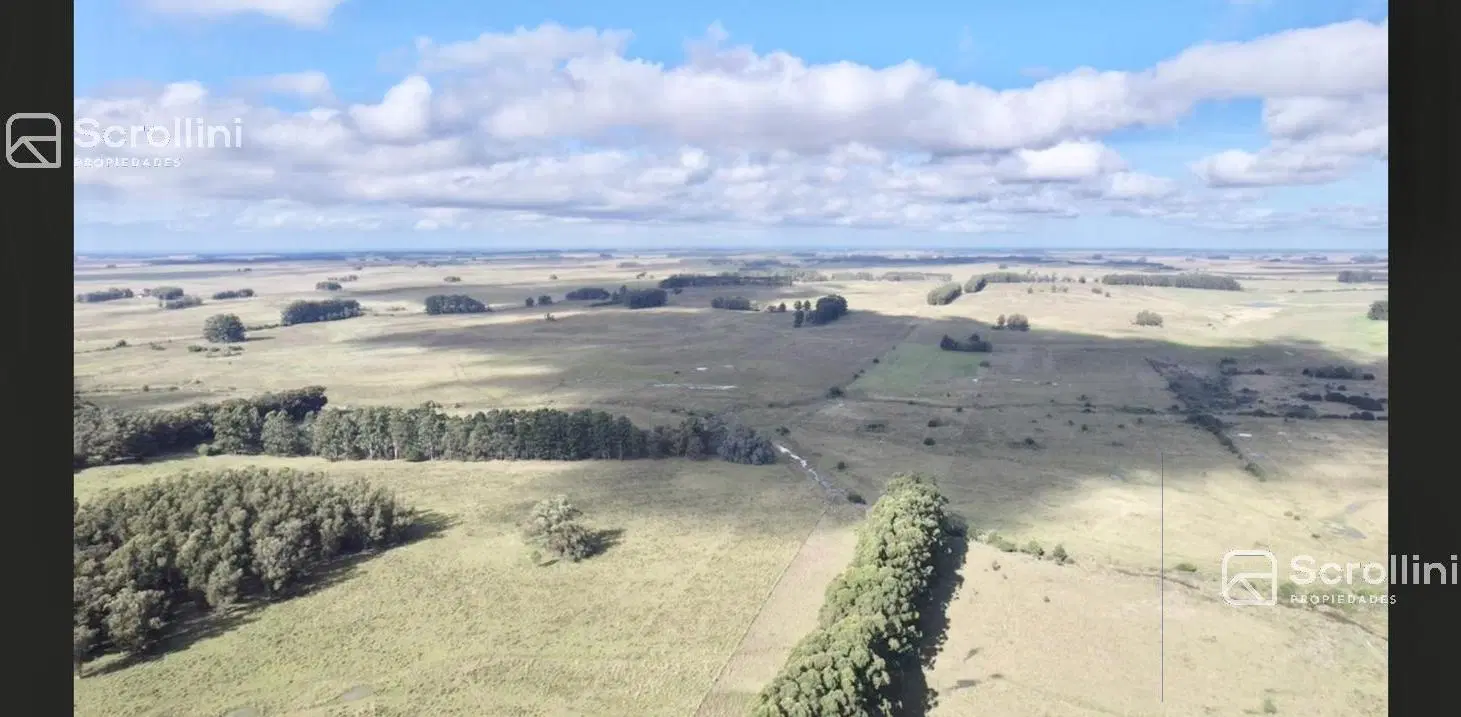 Campo en Rocha 5