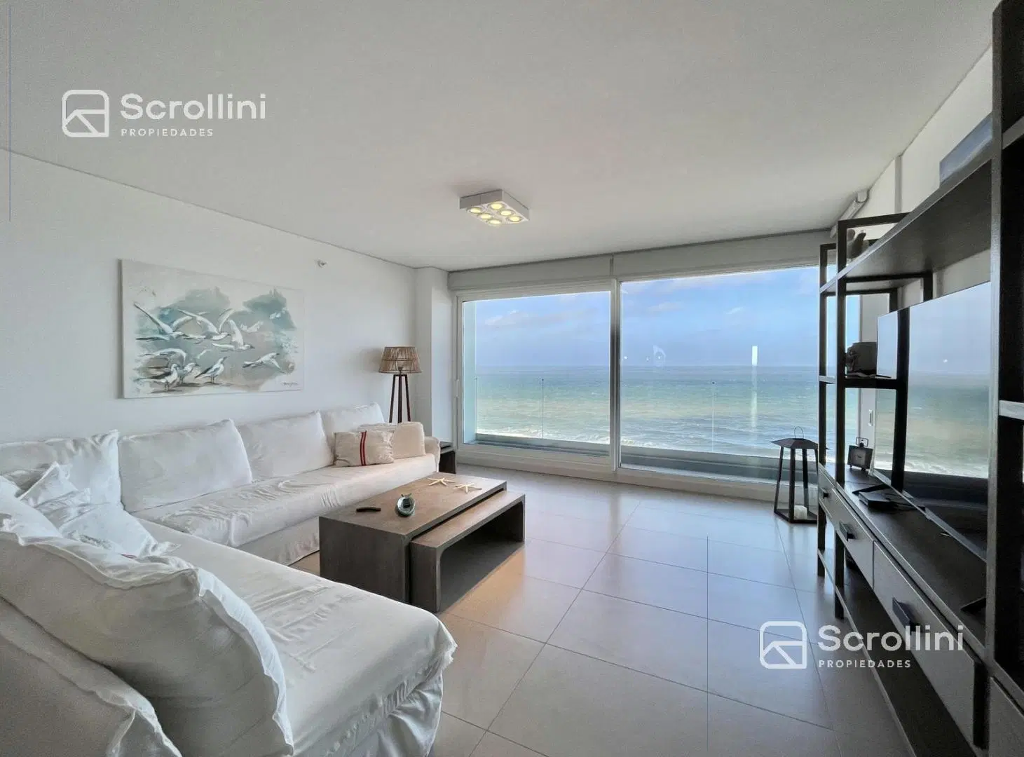 Departamento - Playa Brava 4