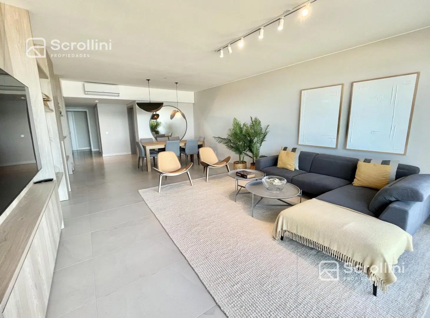 Departamento - Playa Brava 5