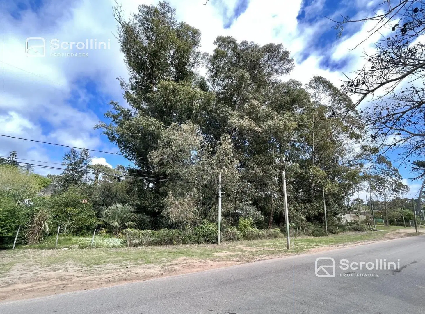 Terreno en venta 2