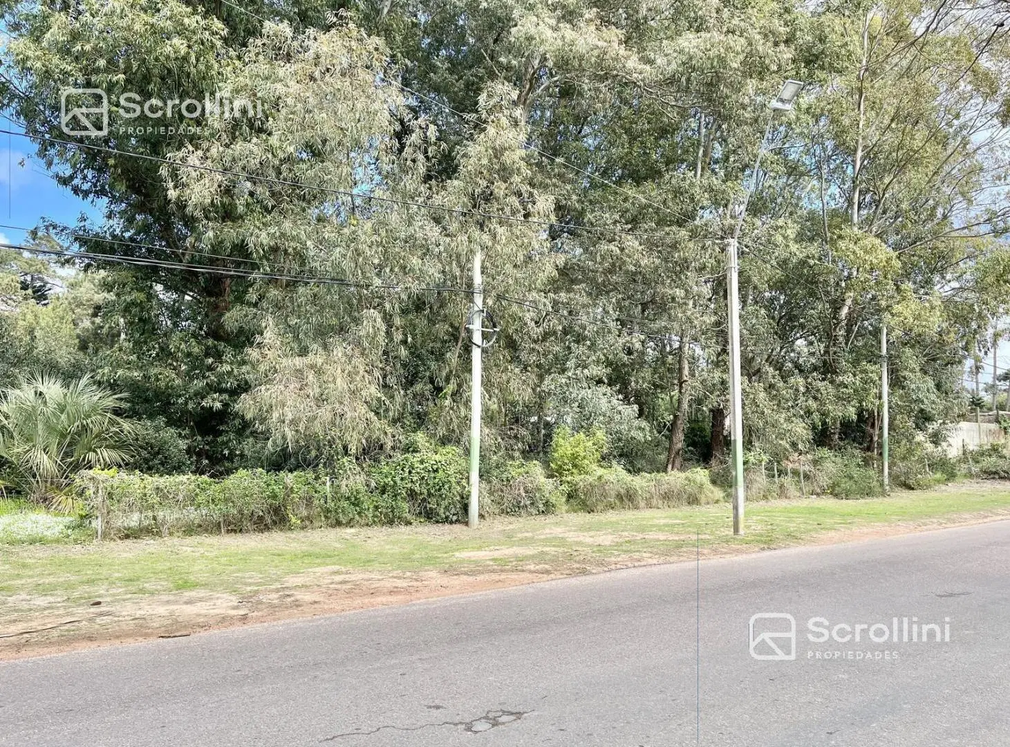 Terreno en venta 1