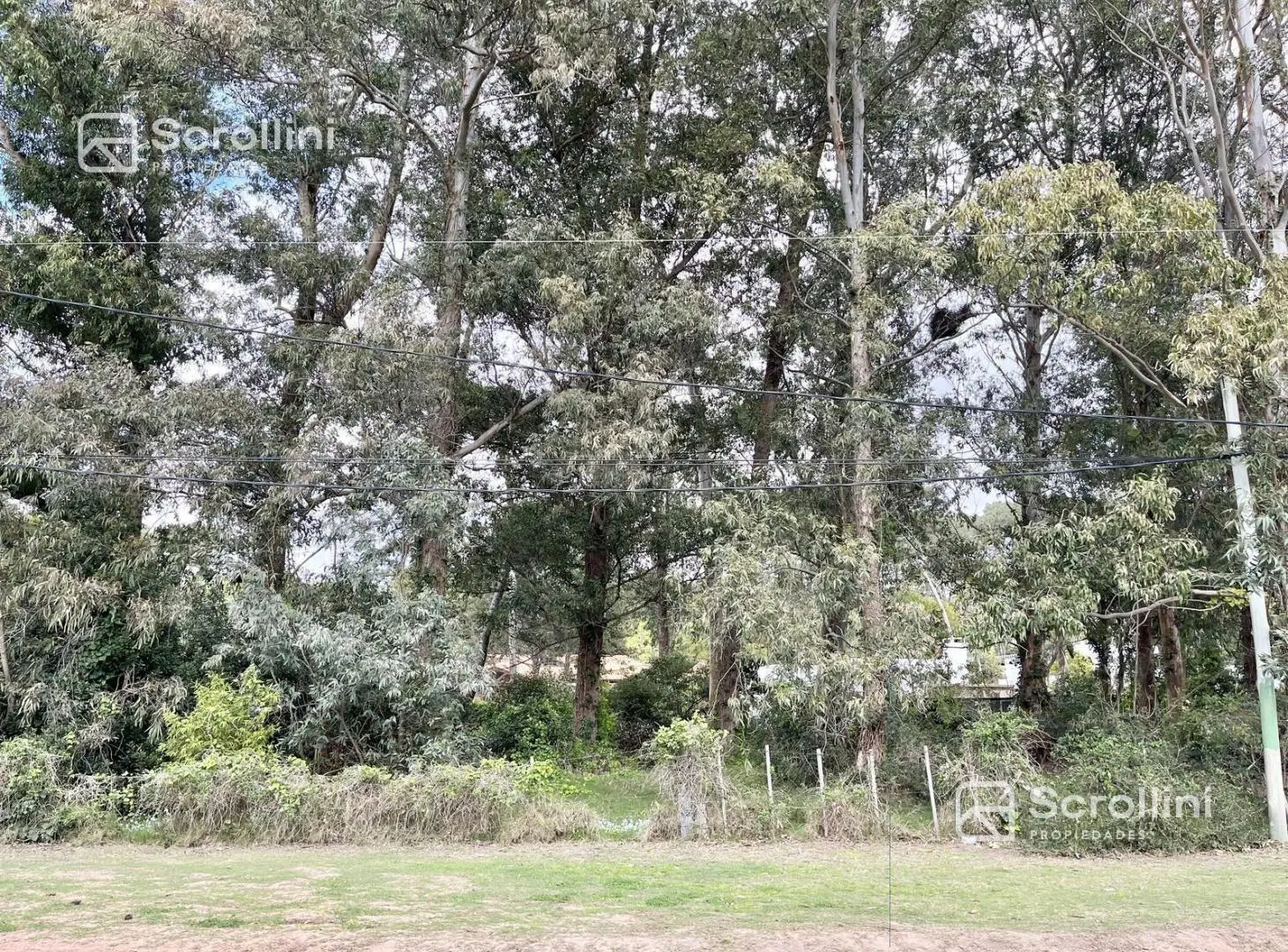Terreno en venta 5