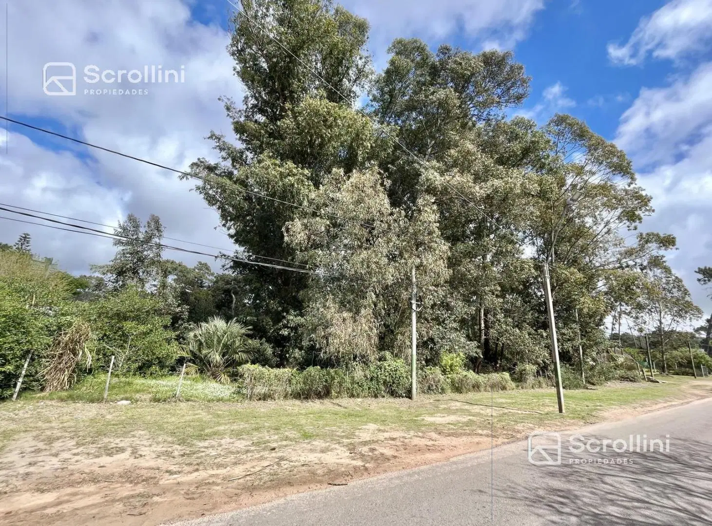 Terreno en venta 4