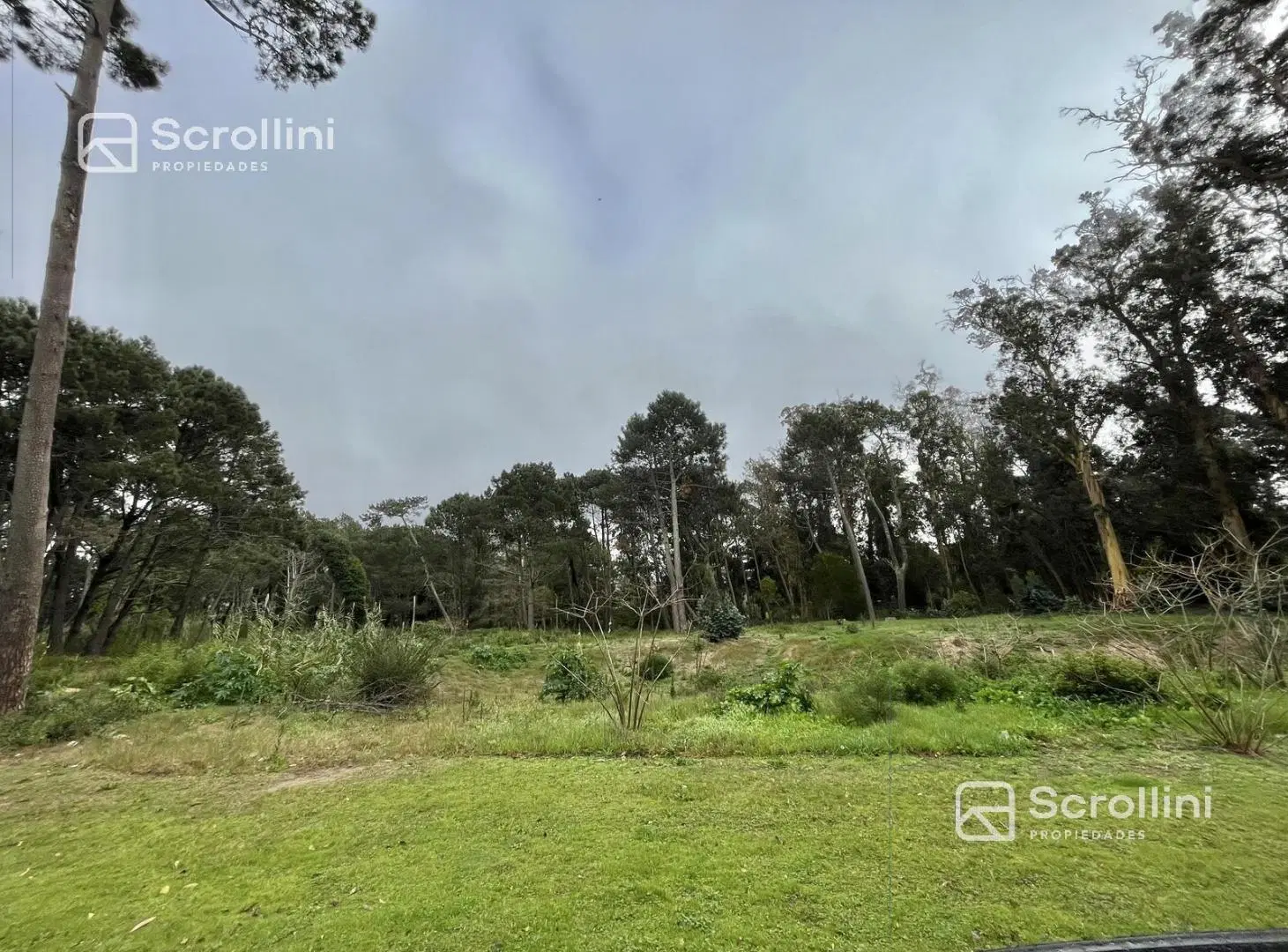 Terreno en venta 5
