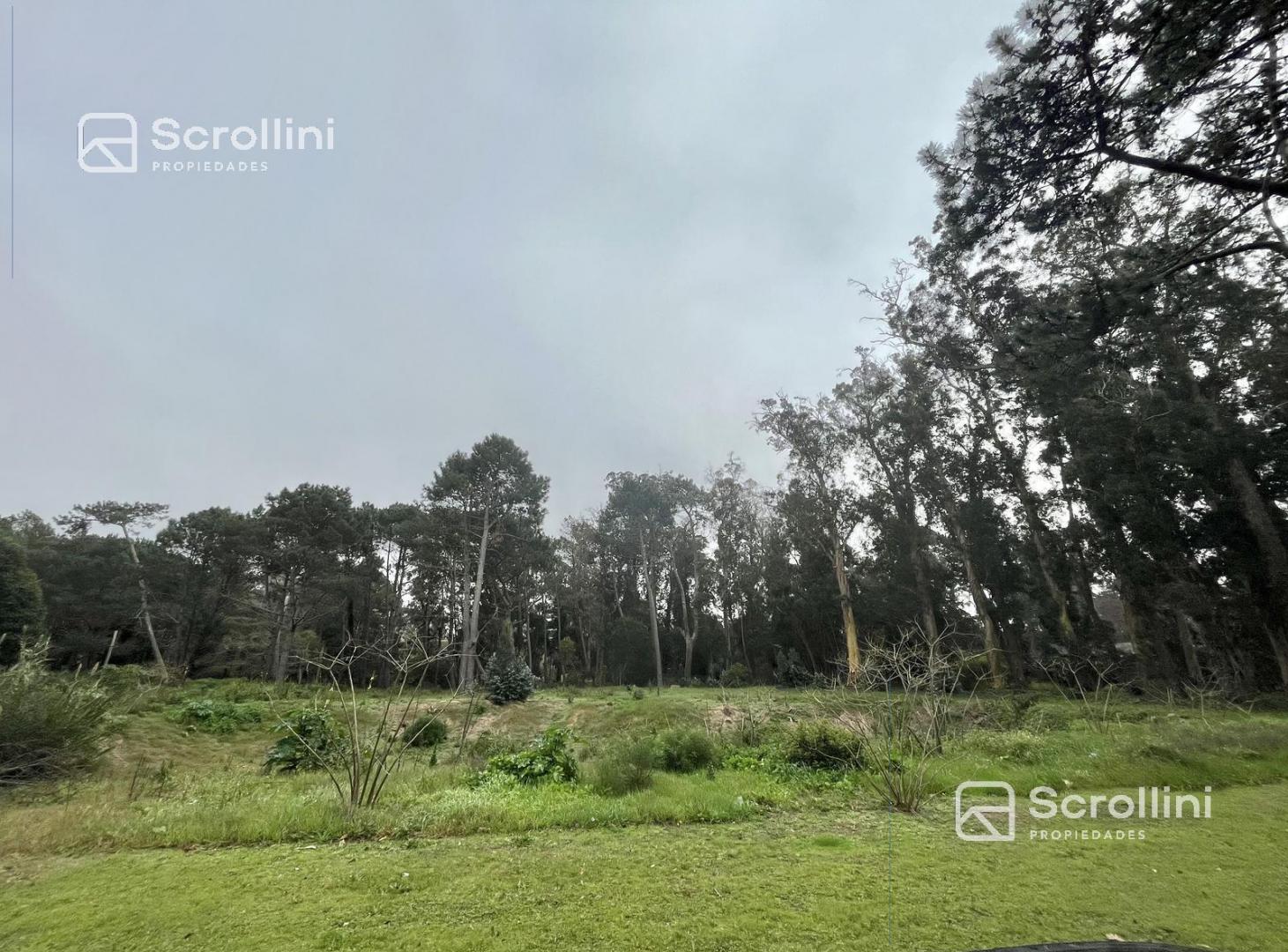 Terreno en venta