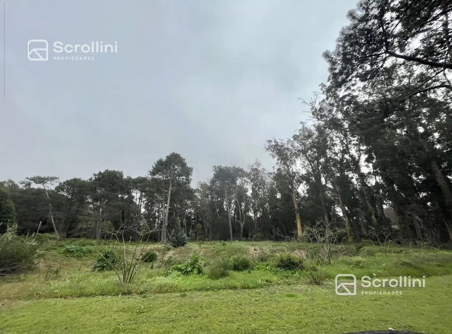 Terreno en venta 2