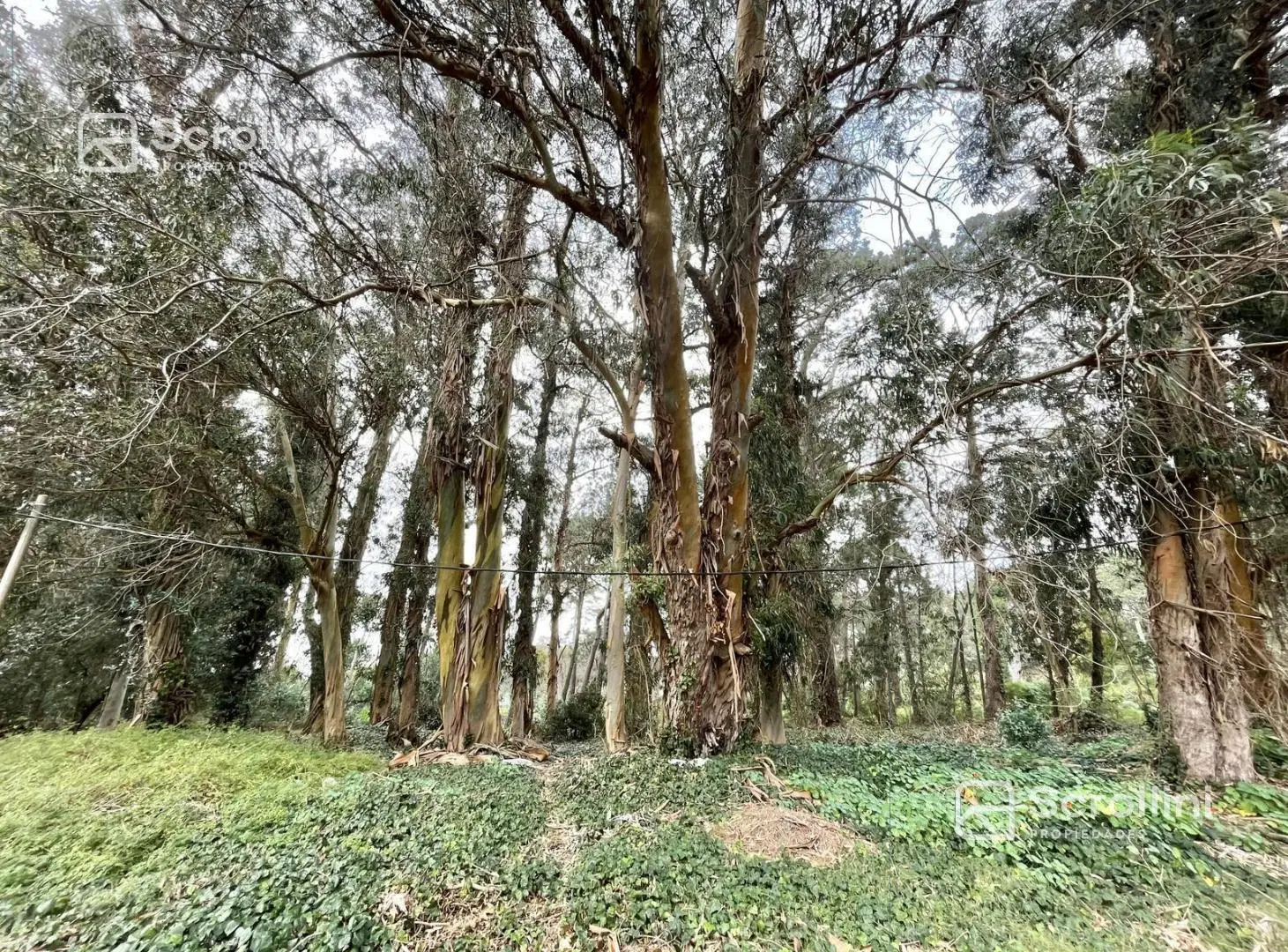 Terreno en venta 8