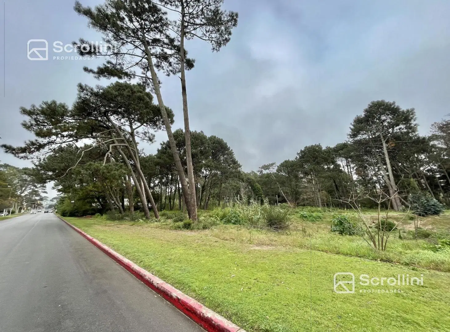 Terreno en venta 4