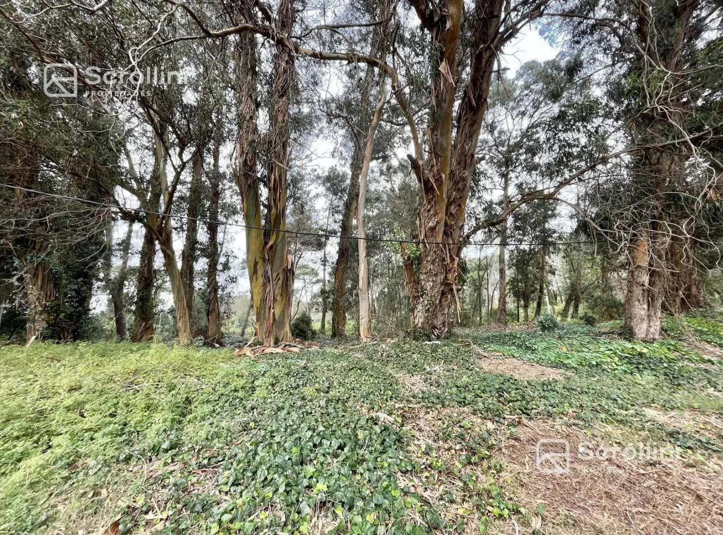 Terreno en venta 3