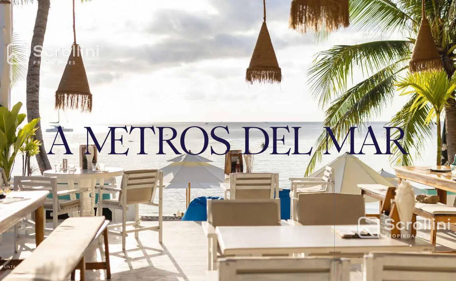Departamento en Playa Brava 5