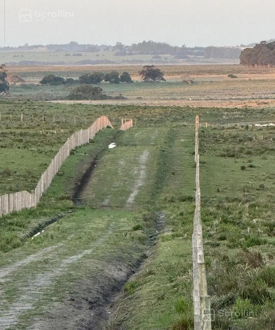Terreno en venta Laguna Jose Ignacio 3