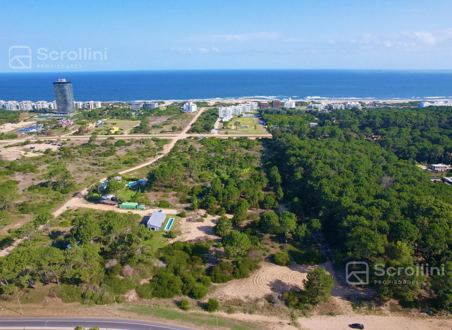 Foto de Terreno en Punta del Este, imagen 4