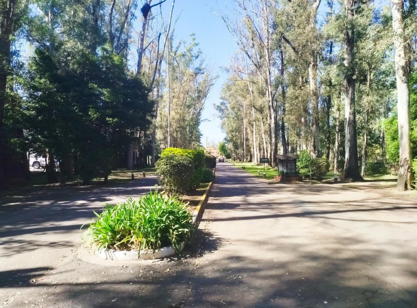 Foto de Oportunidad! Casa de 5 ambientes en las condes, imagen 4