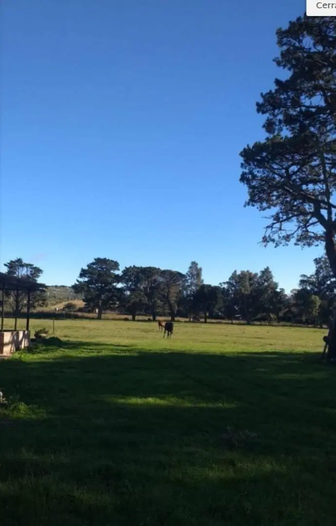 Campo S. de los Padres Permutas/ Financiación 4