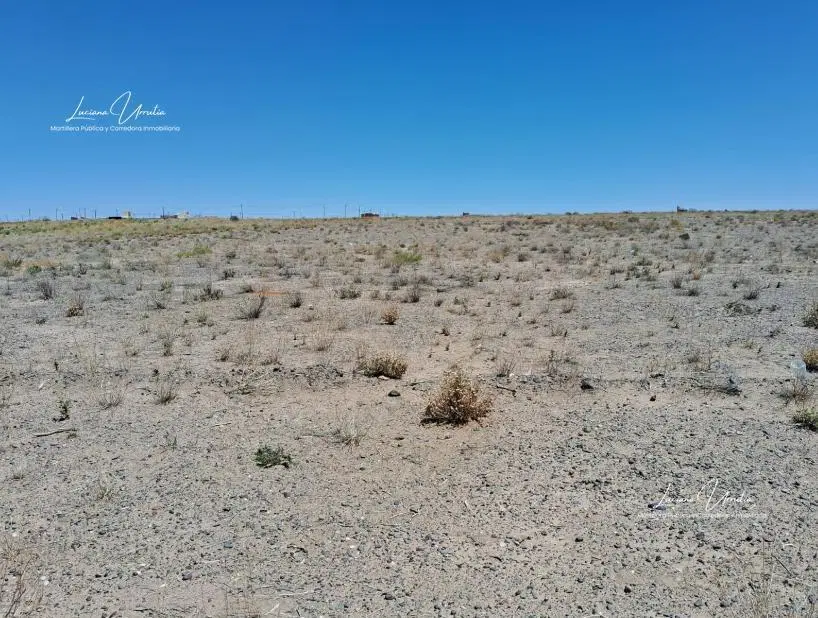 LOTE "LOS CARACOLES" CENTENARIO 4