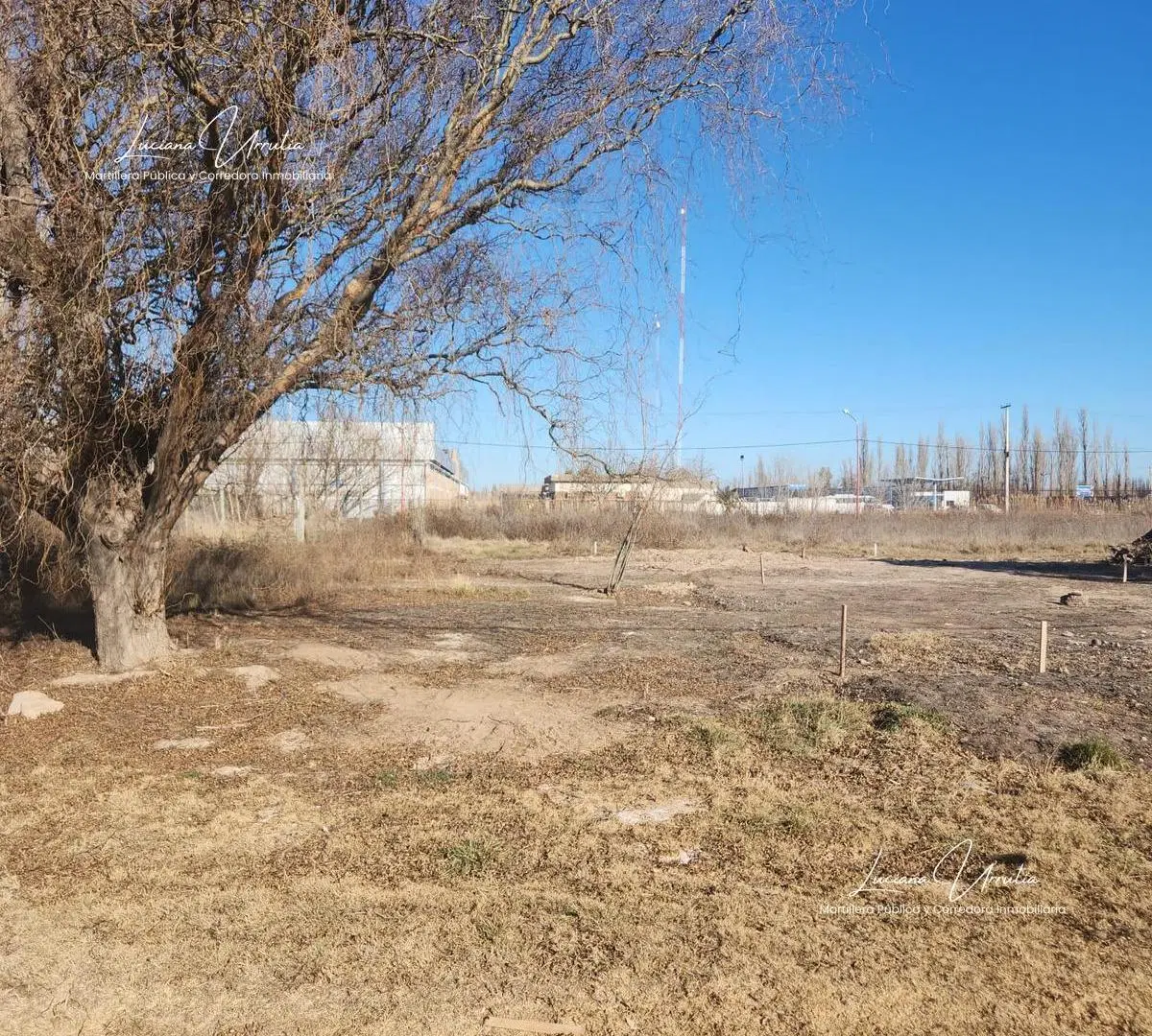 Terreno en venta  Allen 3