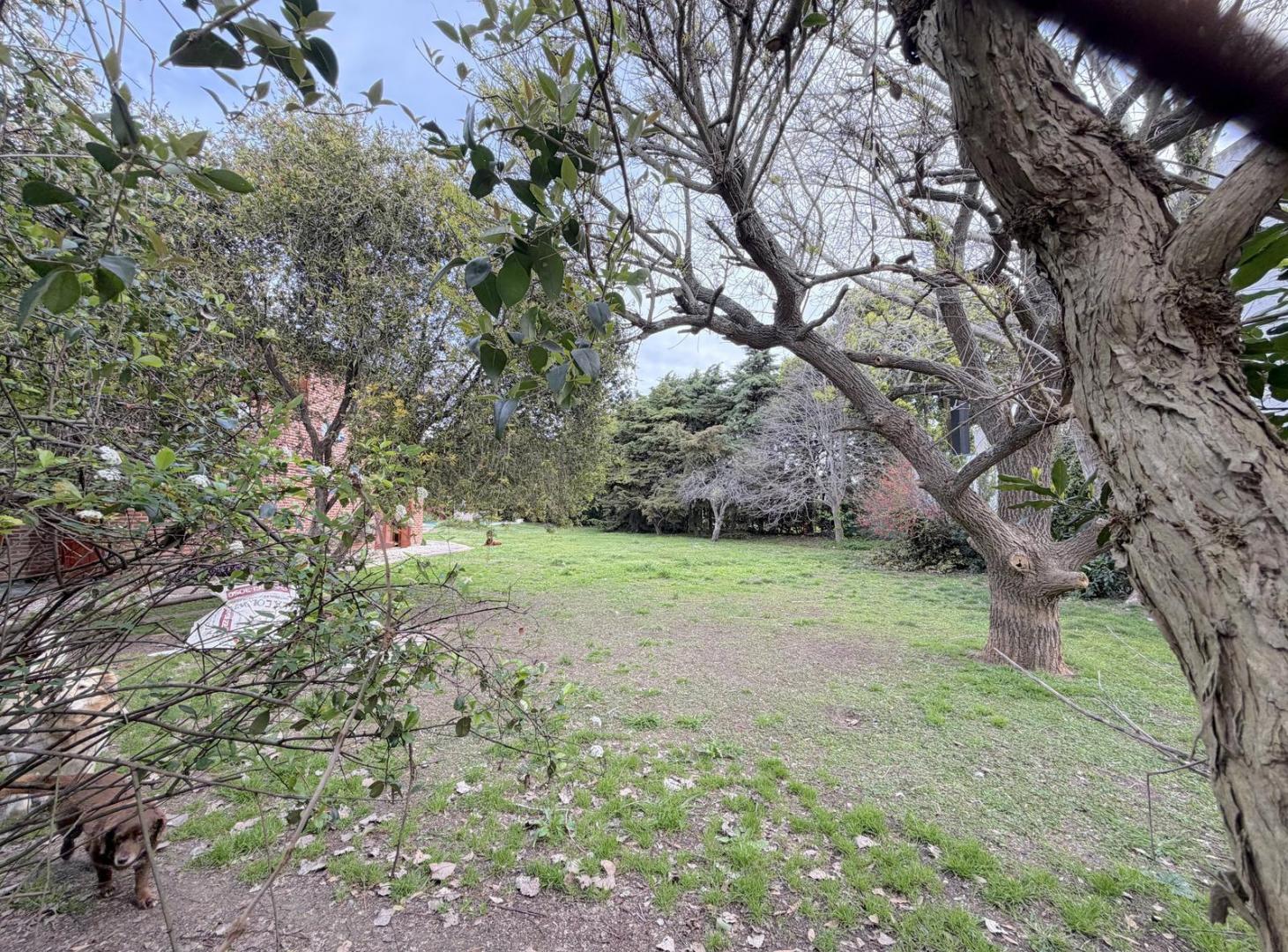 Foto de Terreno en venta en Gonnet., imagen 5
