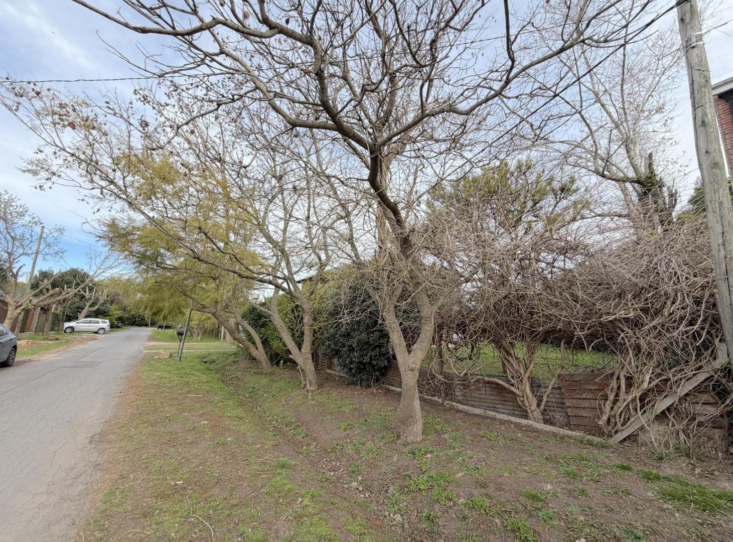 Foto de Terreno en venta en Gonnet., imagen 1
