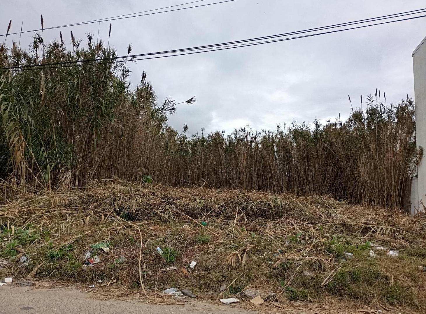 Foto de Terreno - La Plata, imagen 1