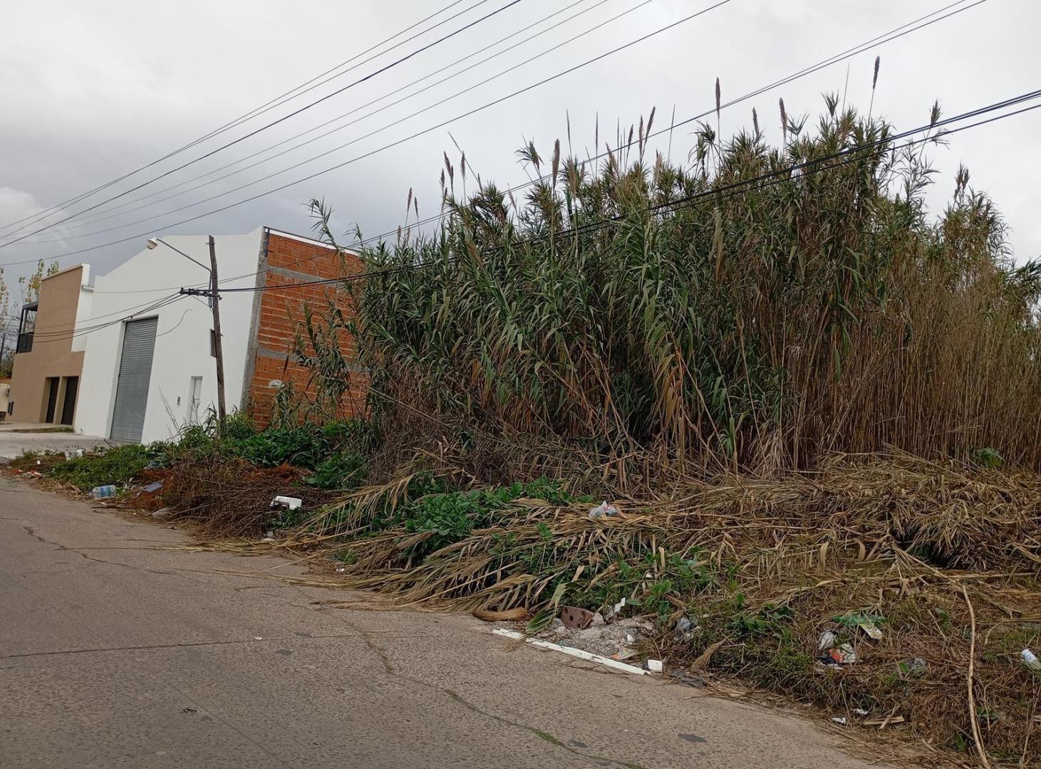 Foto de Terreno - La Plata, imagen 2