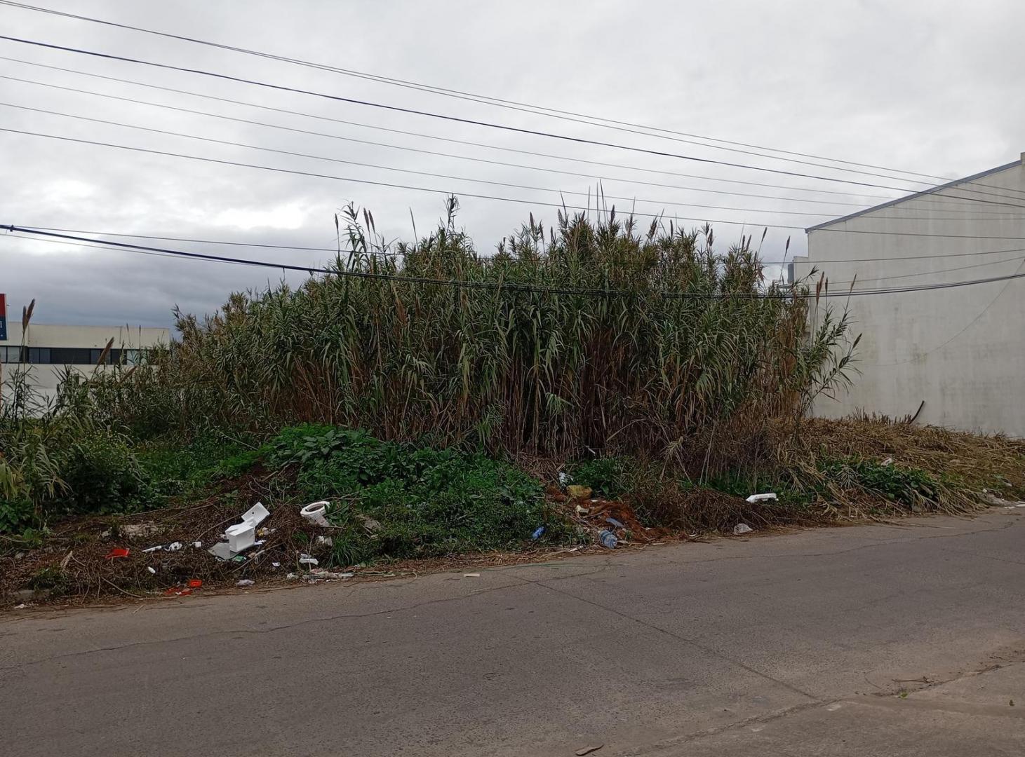 Foto de Terreno - La Plata, imagen 3