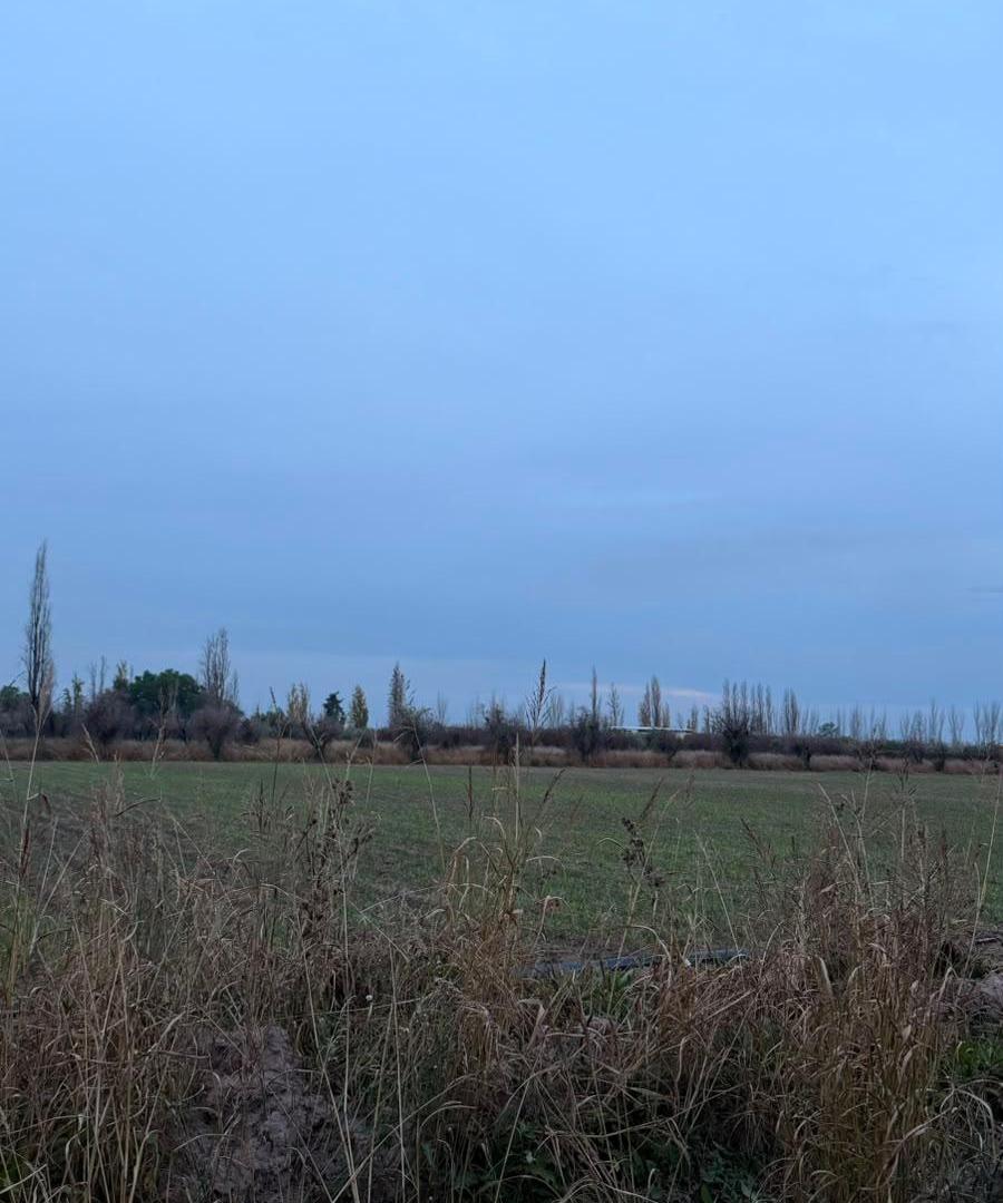 Foto de ¡VENTA DE LOTES EN CHACHINGO, MAIPÚ! Lotes de 600m2, imagen 3