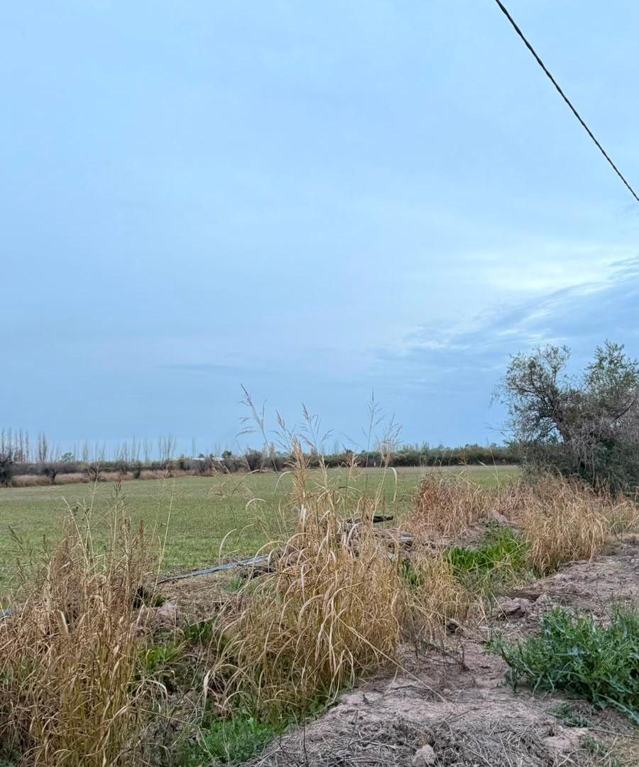 Foto de ¡VENTA DE LOTES EN CHACHINGO, MAIPÚ! Lotes de 600m2, imagen 2