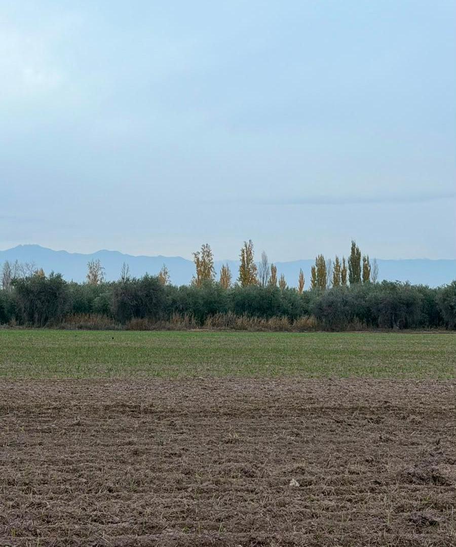 Foto de ¡VENTA DE LOTES EN CHACHINGO, MAIPÚ! Lotes de 600m2, imagen 1