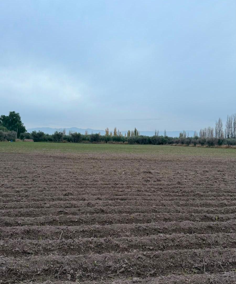 Foto de ¡VENTA DE LOTES EN CHACHINGO, MAIPÚ! Lotes de 600m2, imagen 4