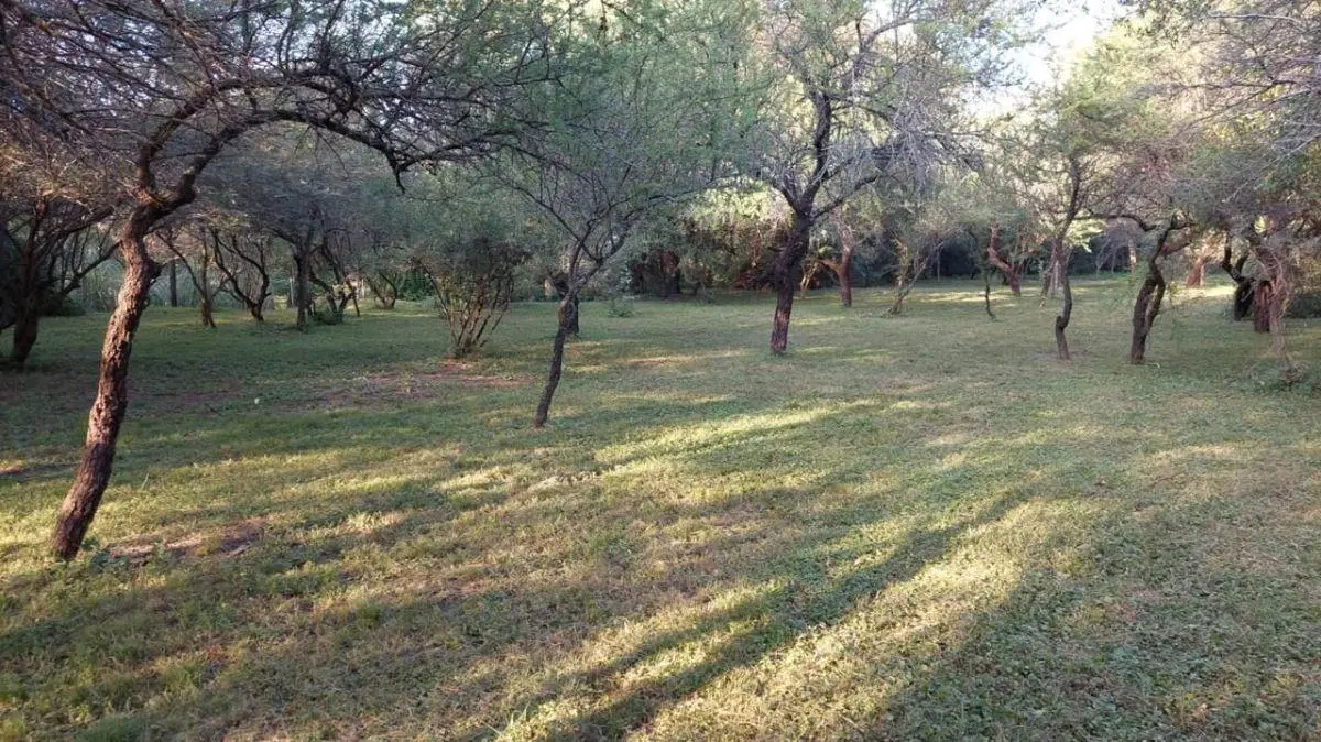 Vendemos Lote de Terreno premium en Corral de Barrancas 8
