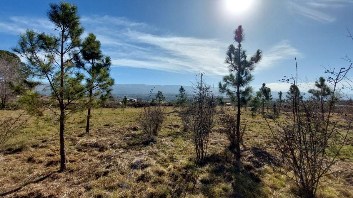 Venta de Lote en Villa Yacanto de Calamuchita