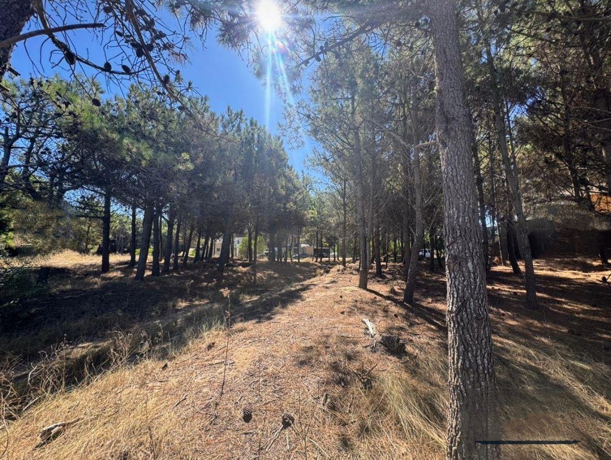 Foto de Lote en venta en Costa Esmeralda, imagen 3
