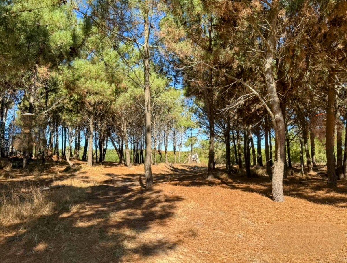 Foto de Lote en venta en Costa Esmeralda, imagen 2