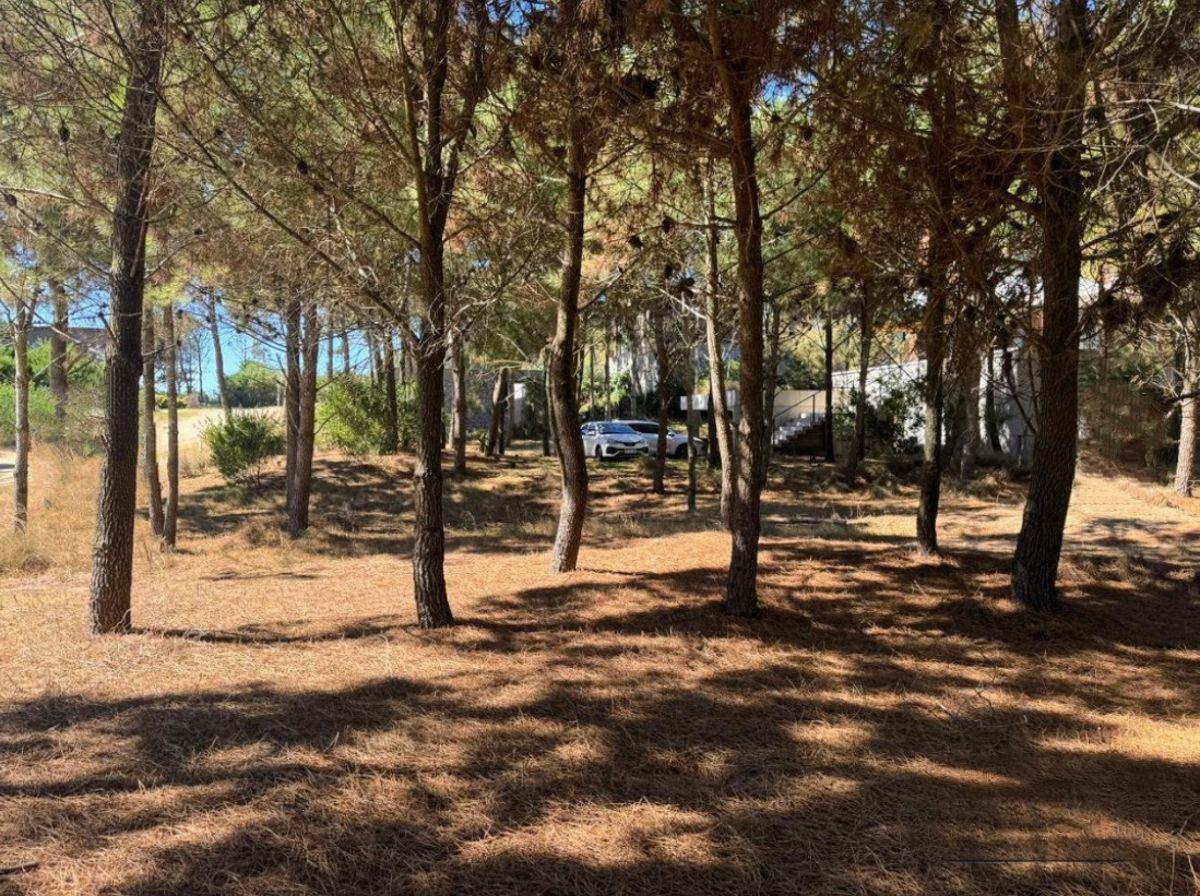 Foto de Lote en venta en Costa Esmeralda, imagen 1
