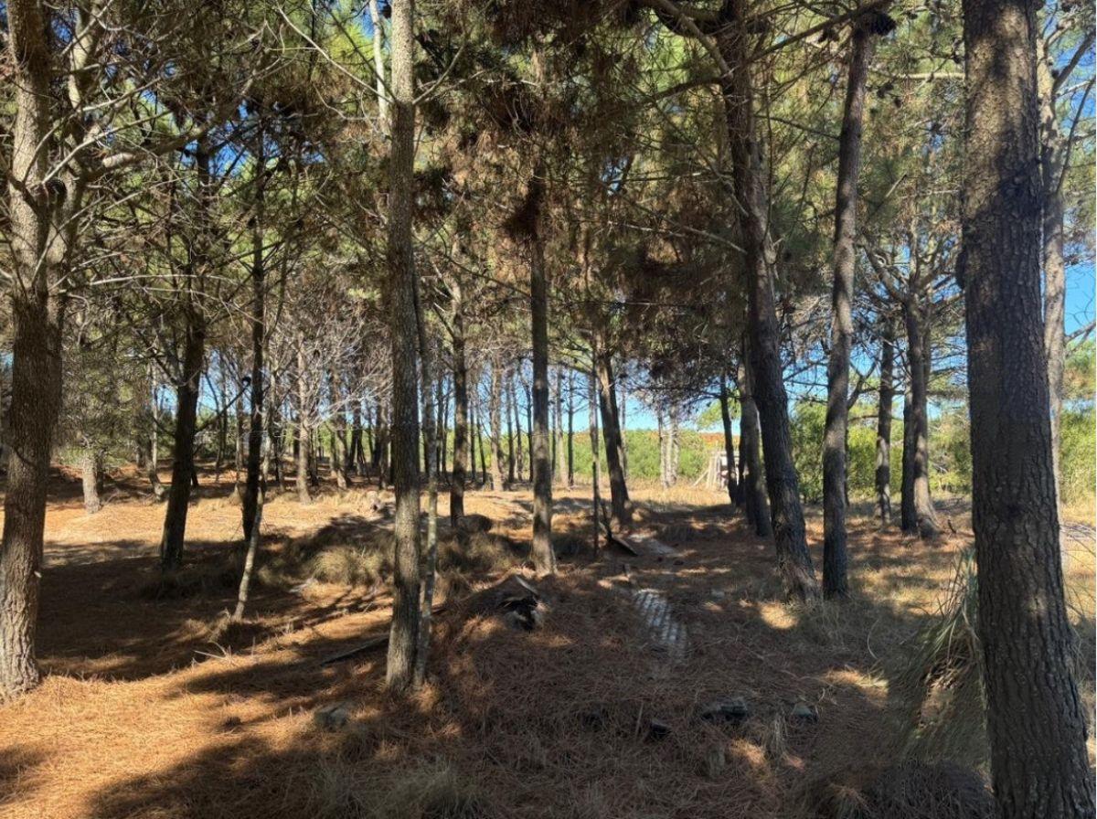 Foto de Lote en venta en Costa Esmeralda, imagen 4