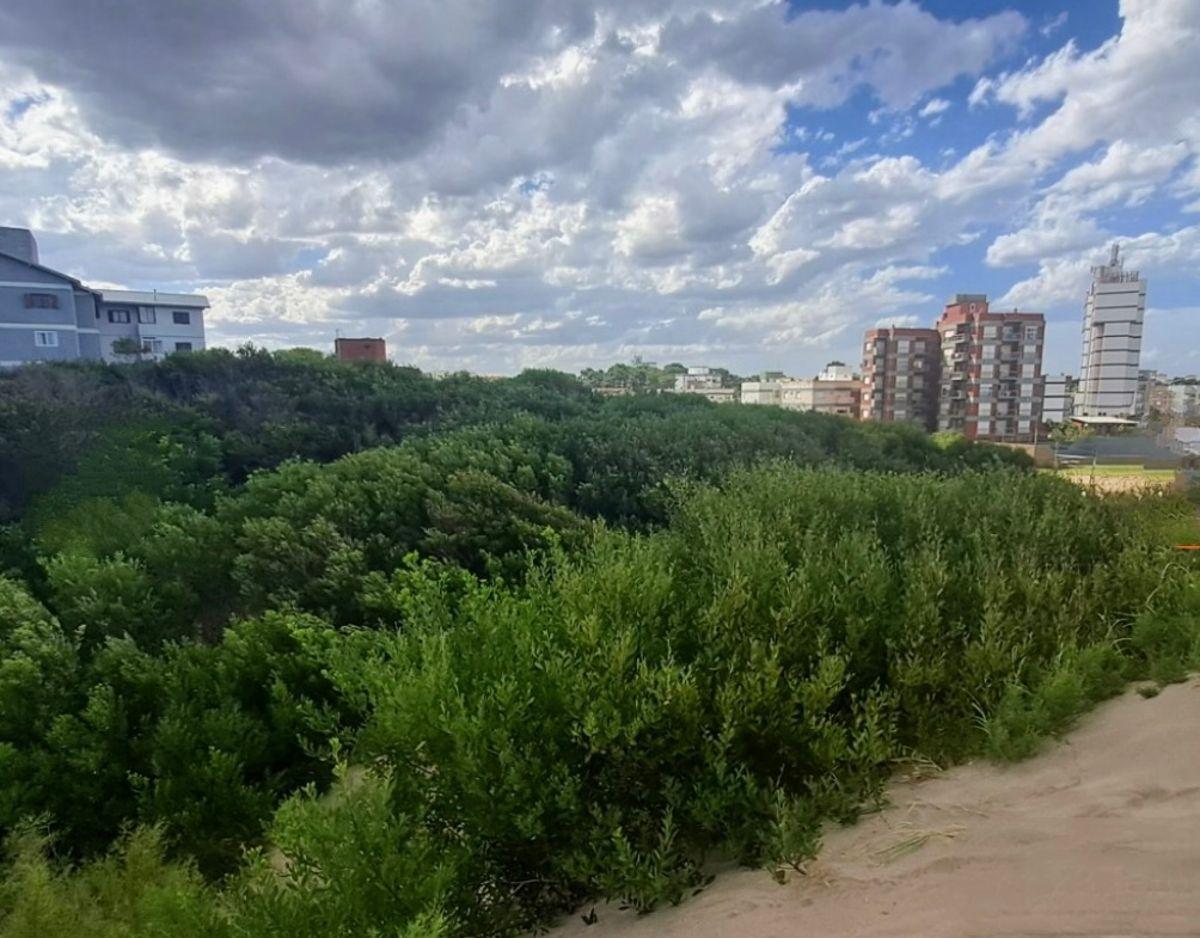 Foto de Lote en venta en Villa Gesell, imagen 4
